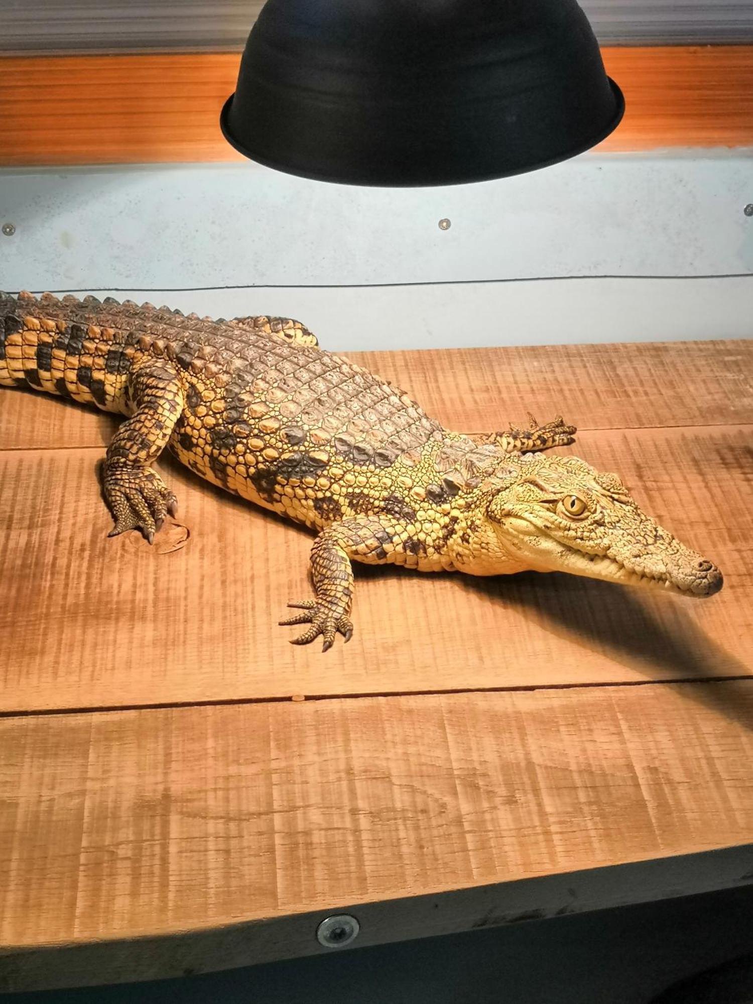Penzion Baska Voda Cz Dış mekan fotoğraf