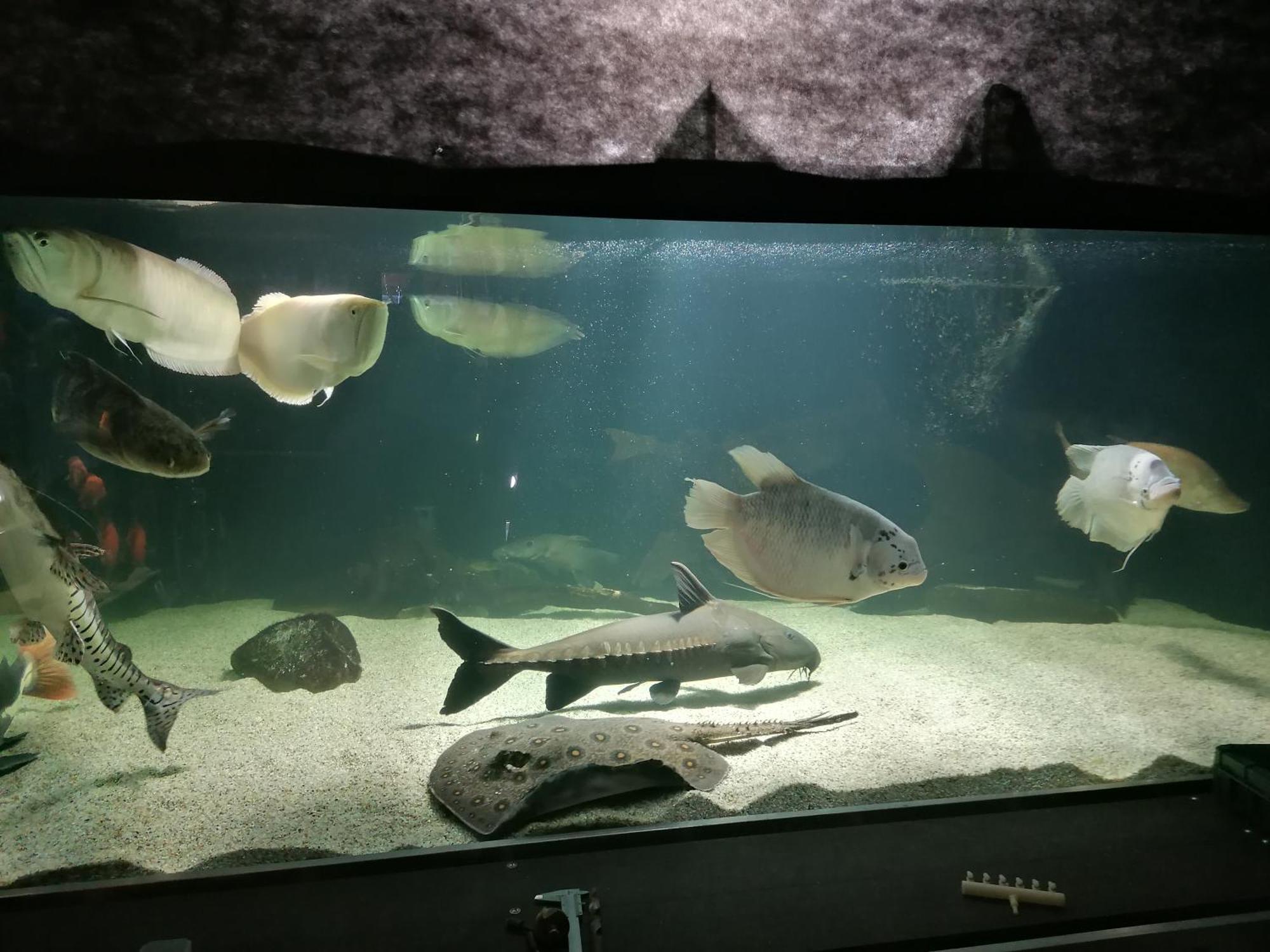 Penzion Baska Voda Cz Dış mekan fotoğraf